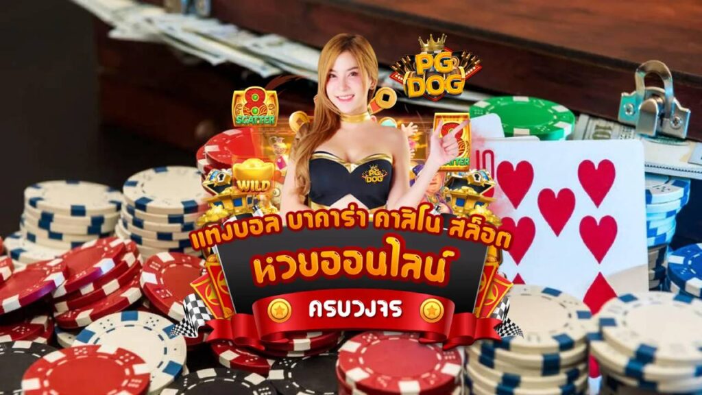 pgdog สล็อต